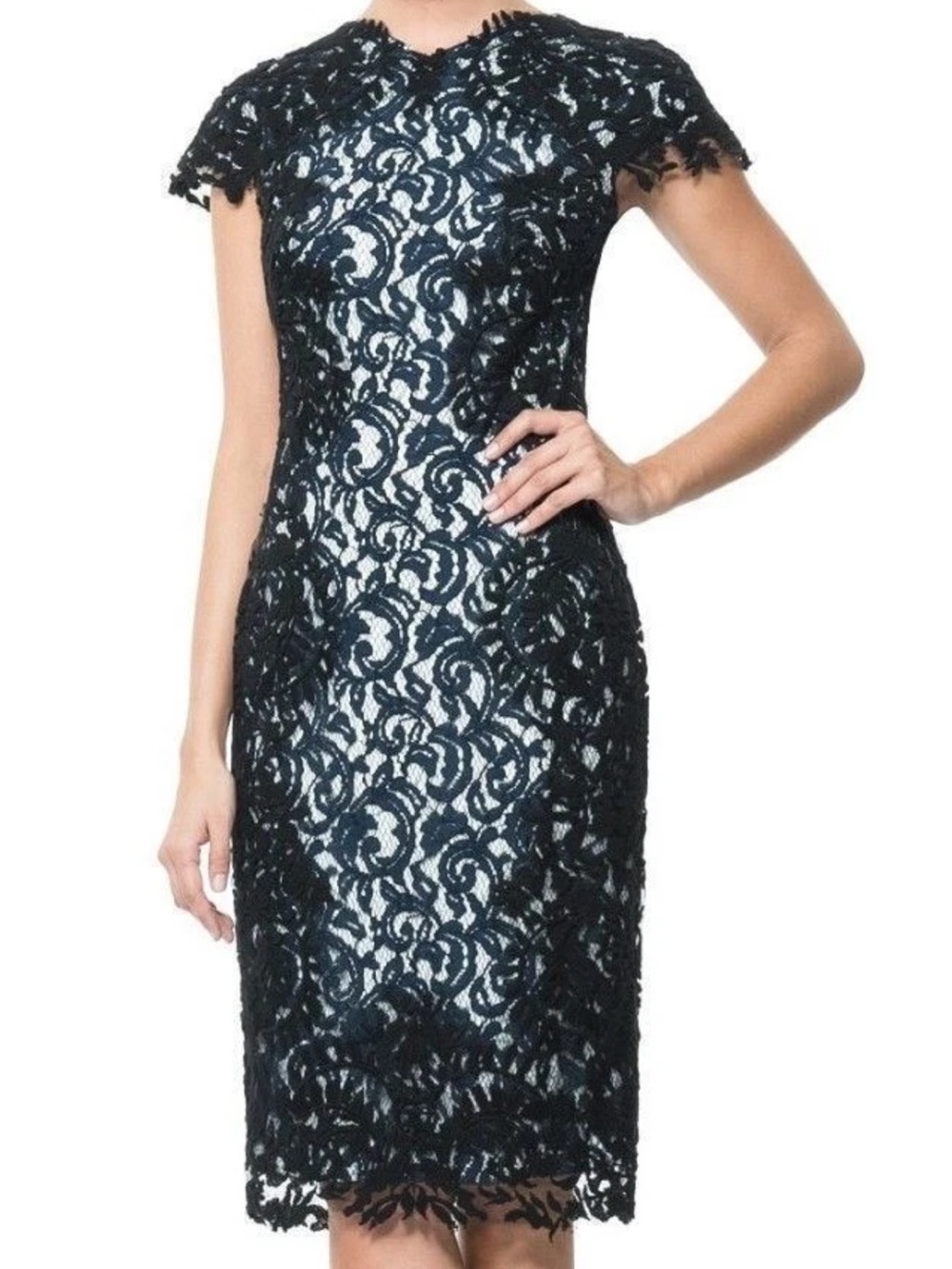 Tadashi Shoji Black Lace Midi Sheath Dress